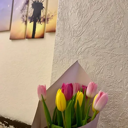 Penzion готельного типу *