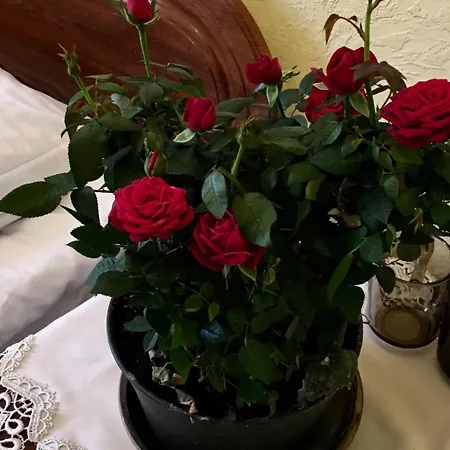 готельного типу