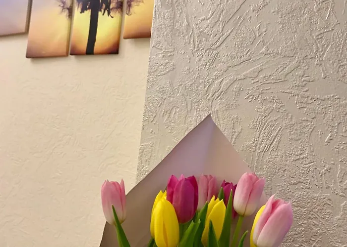 Han/Misafirhane готельного типу *