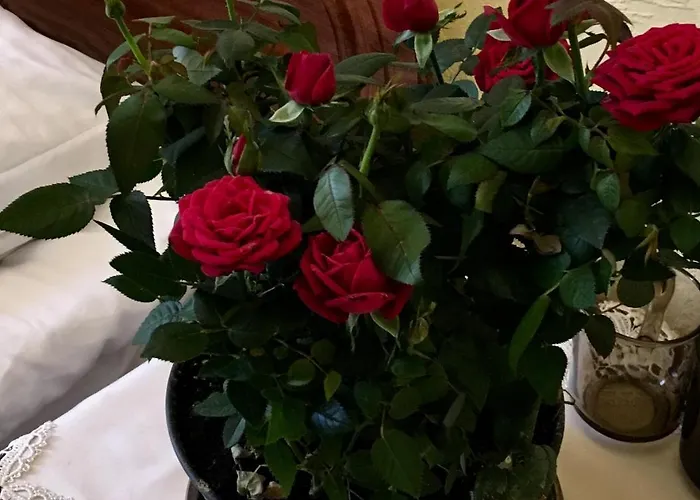 готельного типу